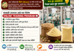 Besan Mill Business