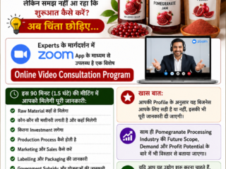 pomogranate zoom