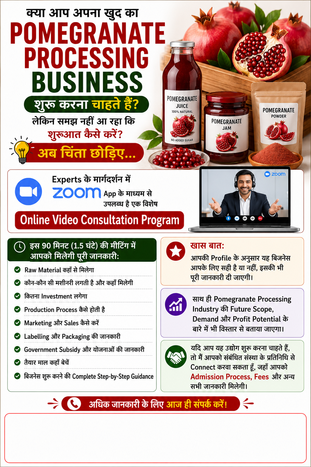 Pomegranate Processing Business