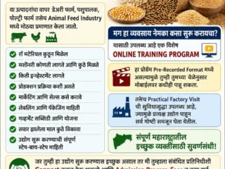 cattle-feed