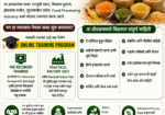 Dal Mill Business