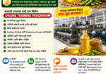 Soya Oil Processing Business